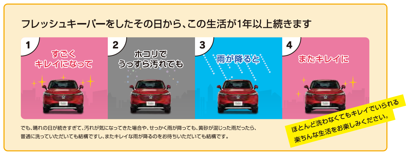 フレッシュキーパーをしたその日から、この生活が1年以上続きます。